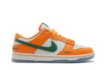 Florida A&M University x Nike Dunk Low ‘We Bragg Different’ DR6188-800  Perfecttimeshop Store