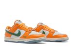 Florida A&M University x Nike Dunk Low ‘We Bragg Different’ DR6188-800  Perfecttimeshop Store