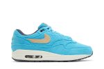 Nike Air Max 1 PRM ‘Baltic Blue’ FB8915-400  Perfecttimeshop Store