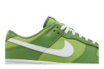 Nike Dunk Low Retro ‘Chlorophyll’ DJ6188-300  Perfecttimeshop Store