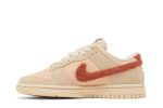 Nike Dunk Low ‘Terry Swoosh’ DZ4706-200  Perfecttimeshop Store