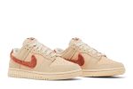 Nike Dunk Low ‘Terry Swoosh’ DZ4706-200  Perfecttimeshop Store