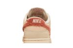 Nike Dunk Low ‘Terry Swoosh’ DZ4706-200  Perfecttimeshop Store