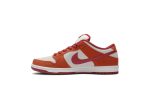 Nike SB Dunk Low Pro ‘Dark Russet’ BQ6817-202 Perfecttimeshop Store