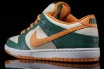 Nike SB Dunk Low Pro ‘Legion Pine’ 304292-383 Perfecttimeshop Store