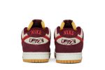 Skate Like a Girl x Nike SB Dunk Low Pro DX4589-600  Perfecttimeshop Store